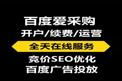 某电商平台的SEM广告投放策略及效果评估